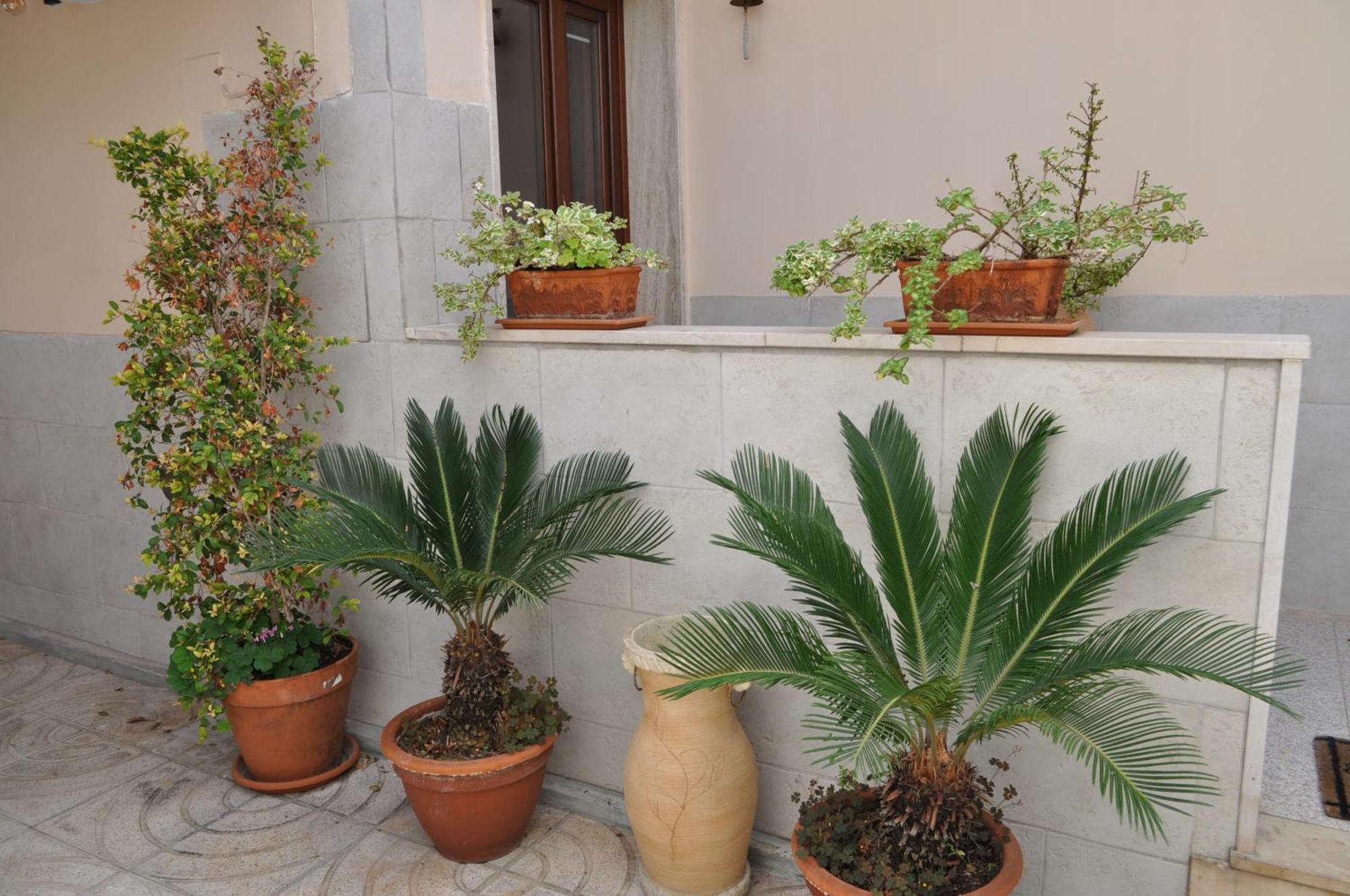 Bed and Breakfast 7 Contrade Tarento Exterior foto