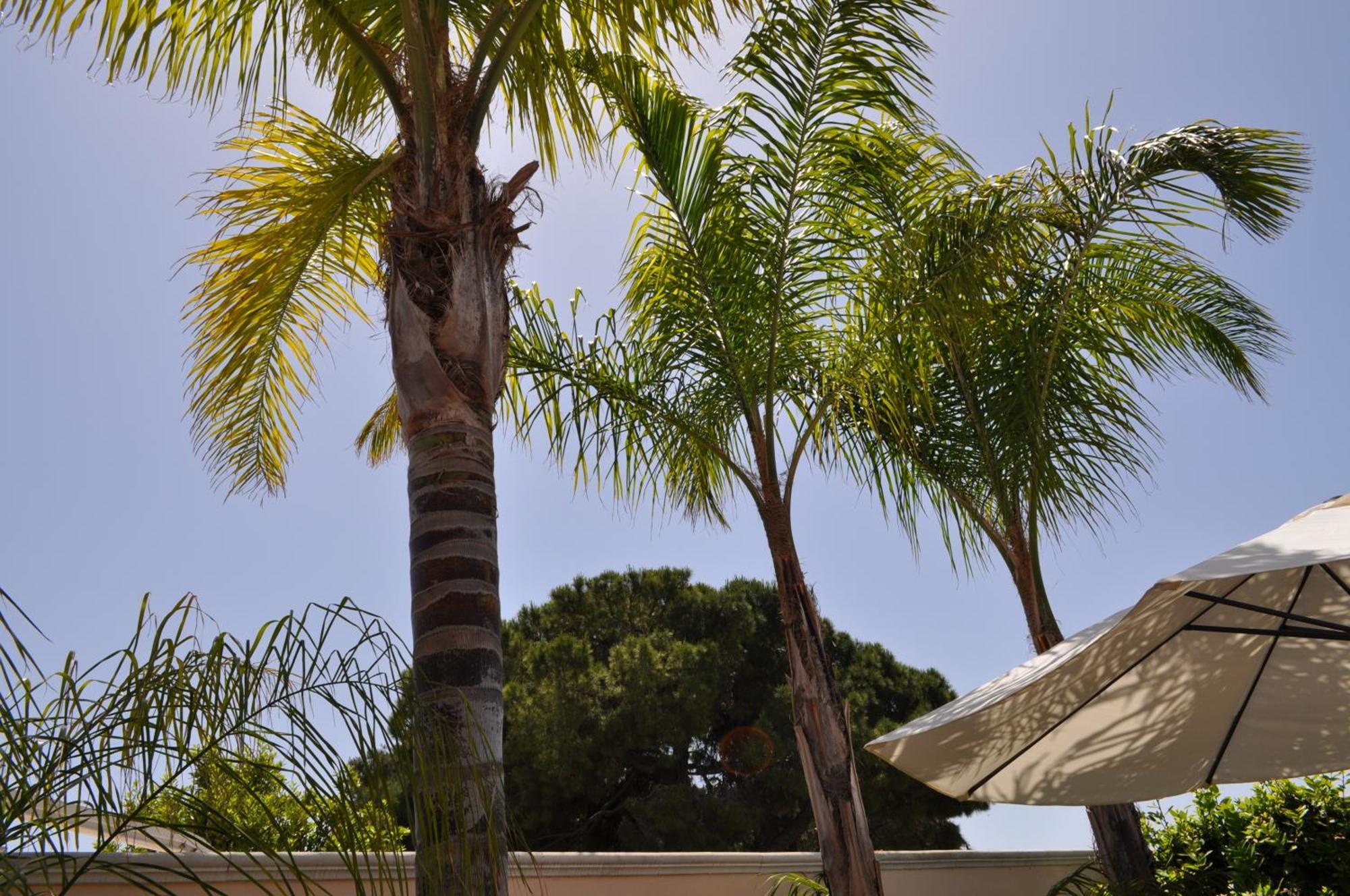 Bed and Breakfast 7 Contrade Tarento Exterior foto